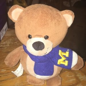 Michigan Teddy Bear